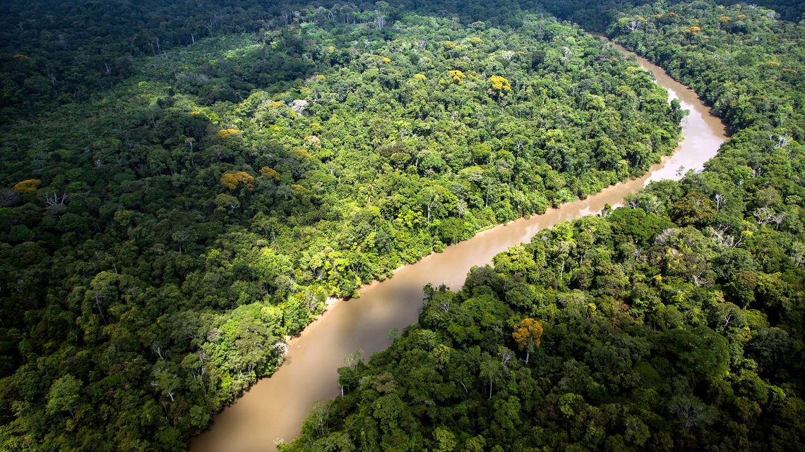 We've destroyed 7% of the Earth's pristine forests since 2000