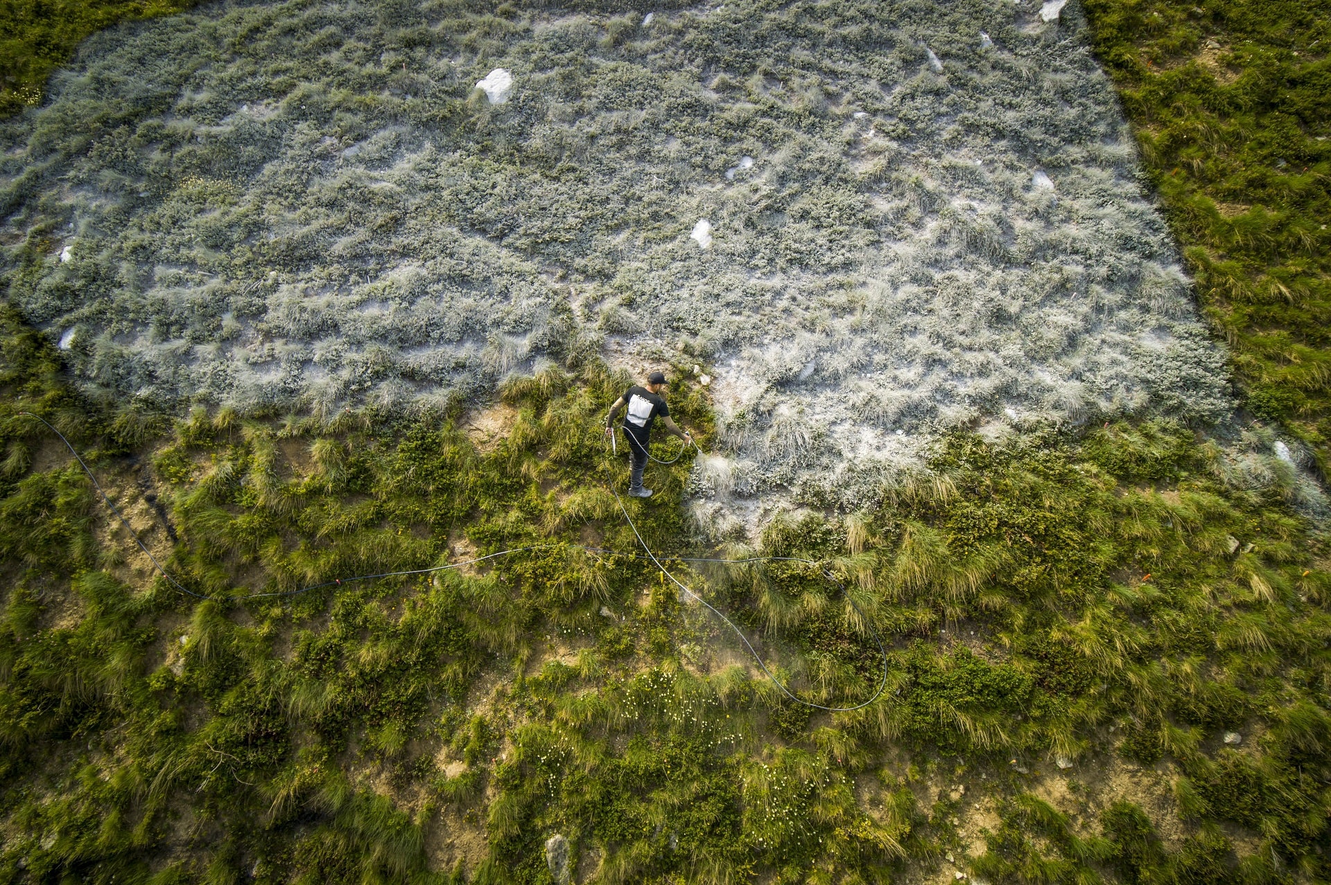 Saype, Une grande Dame