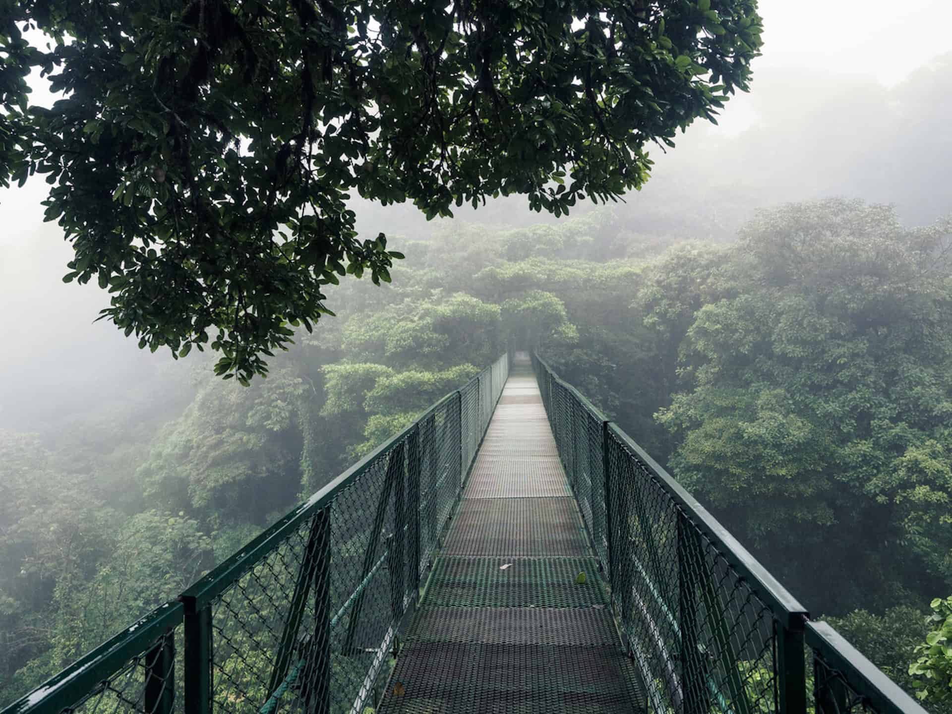 ponti sospesi foresta monteverde