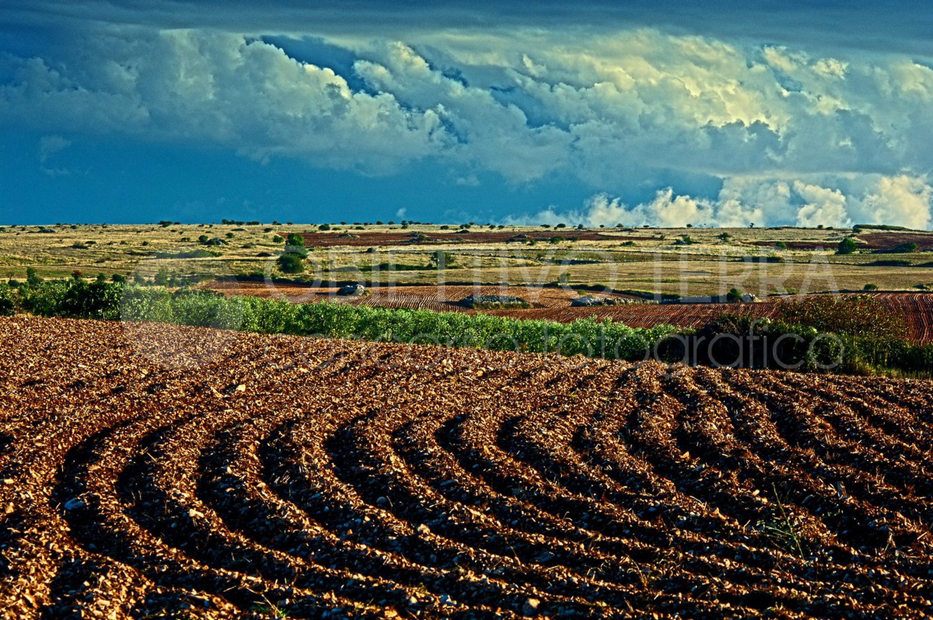 Parco nazionale dell'Alta Murgia (Puglia)