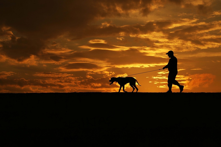 Cane e uomo a spasso