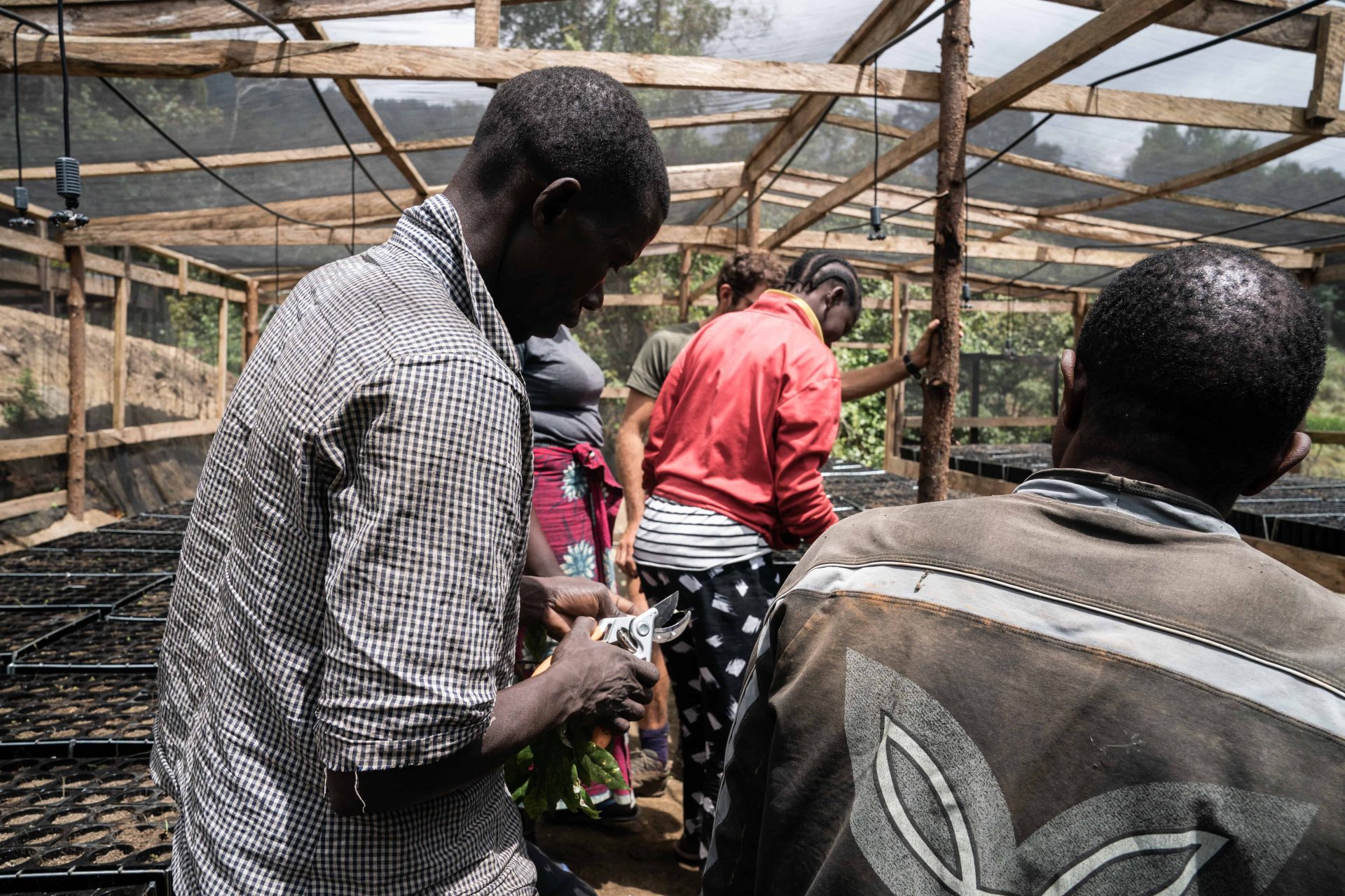 Il progetto di riforestazione Udzungwa corridor limited