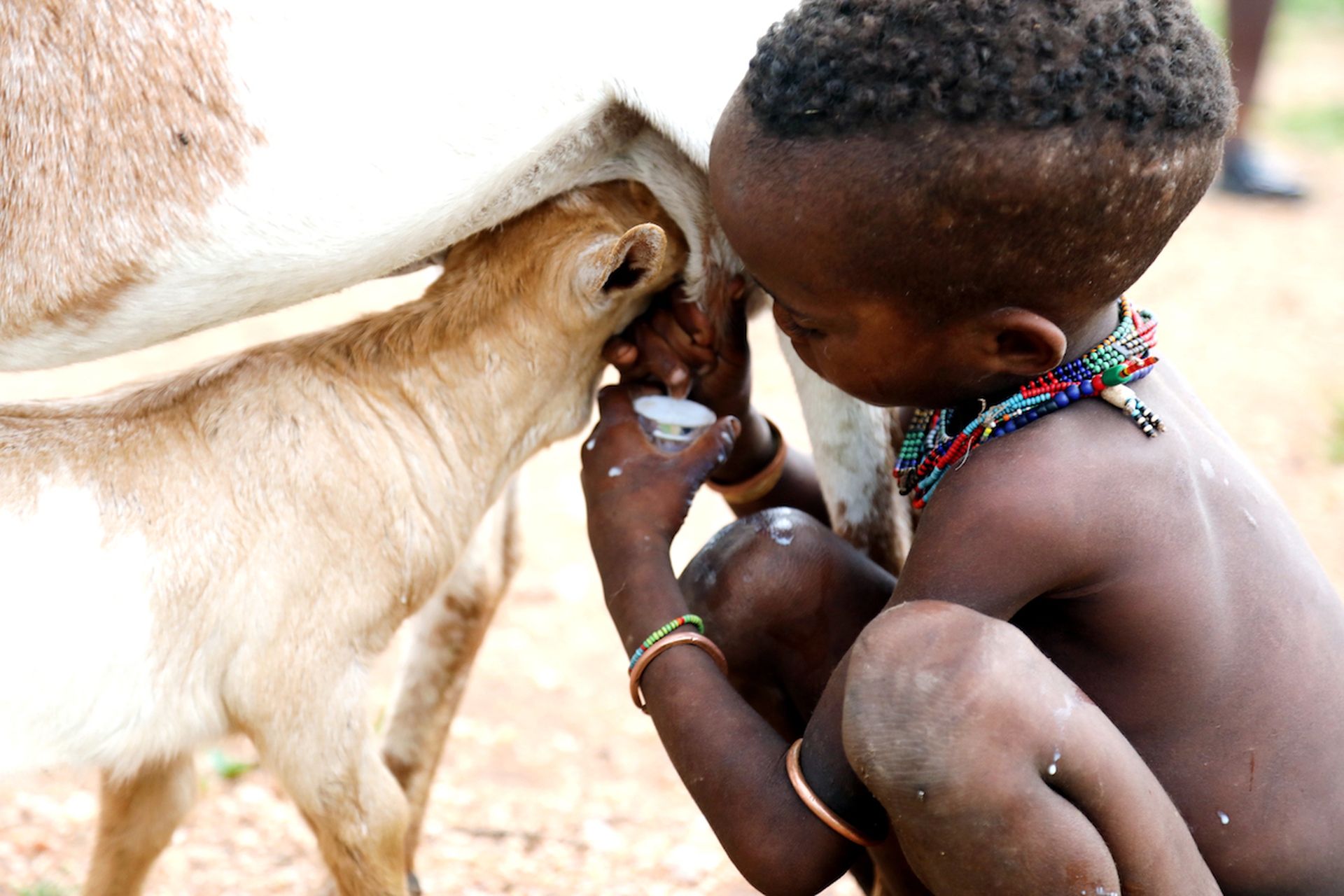 Indigenous groups of Ethiopia's Lower Omo Valley