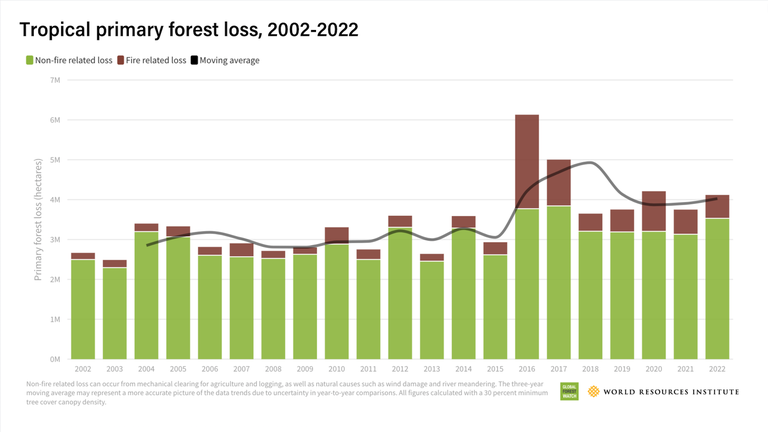 La perdita di foreste è peggiorata nel 2022, nonostante gli impegni internazionali sulla deforestazione