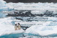 La superficie della calotta antartica non è mai stata così ridotta