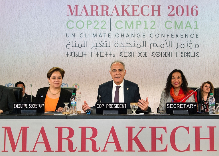 cop22