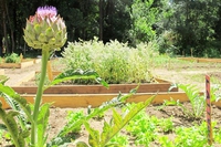 Hortus Urbis, a tavola (e nell’orto) con gli antichi Romani