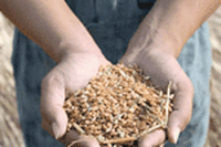Torna il SAP Sustainability Forum