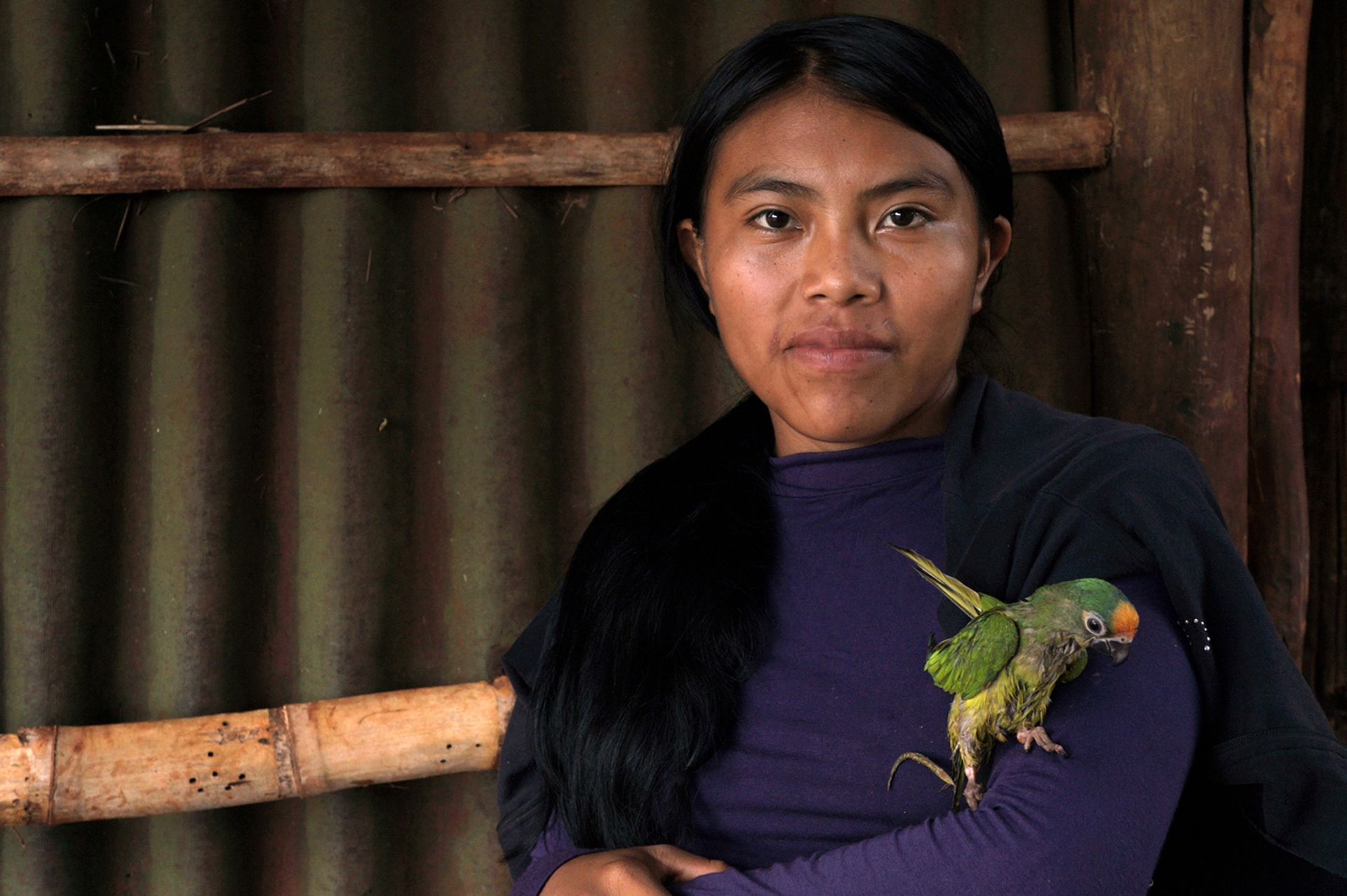 Brazilian Guaranì community