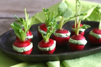 Ravanelli farciti con crema di robiola e il loro pesto, la ricetta