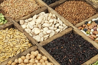 Macrobiotica: significato, cosa mangiare e controindicazioni