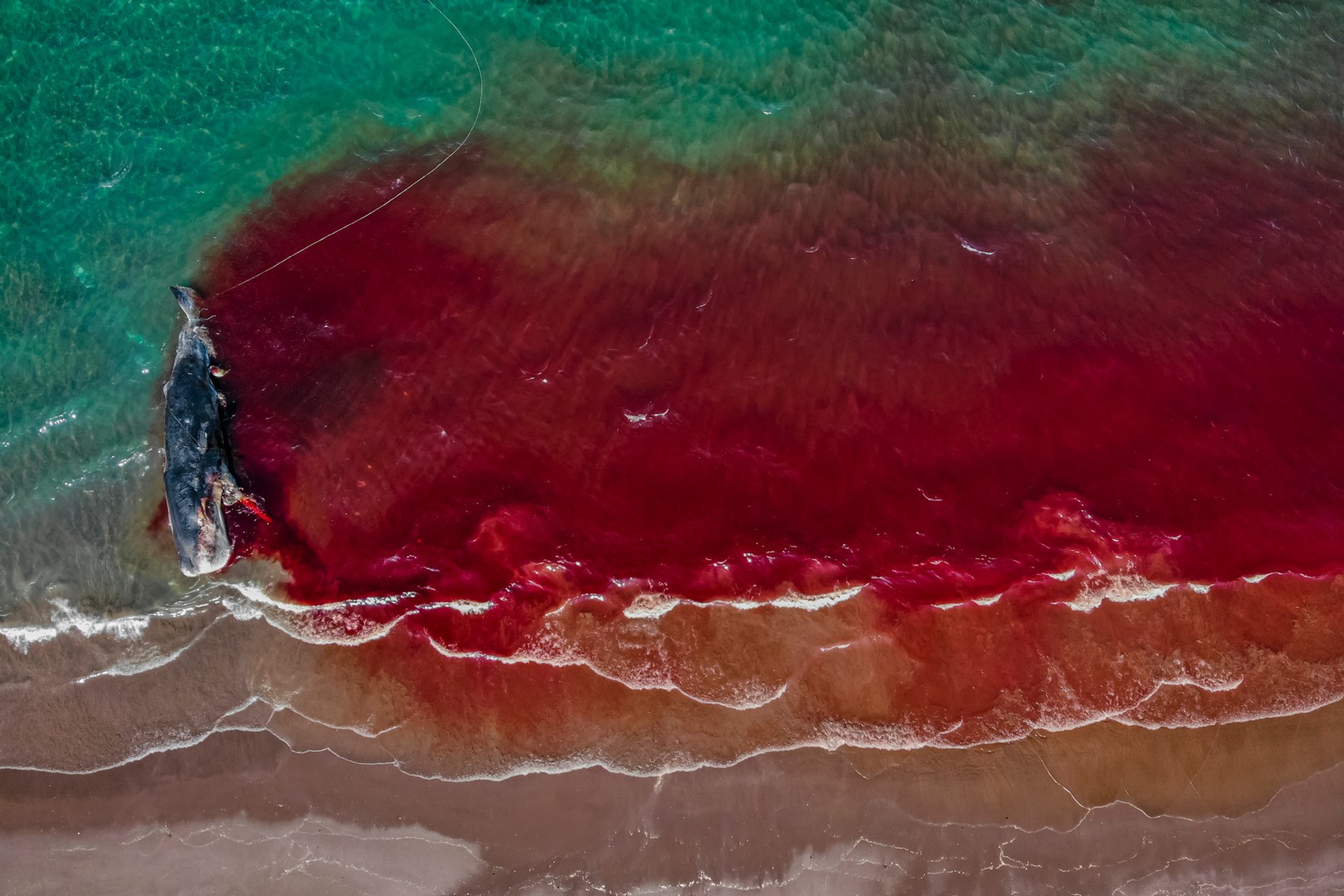 Rafael Fernandez Caballero