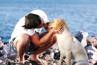 Antropomorfismo, quando i cani capiscono le nostre parole