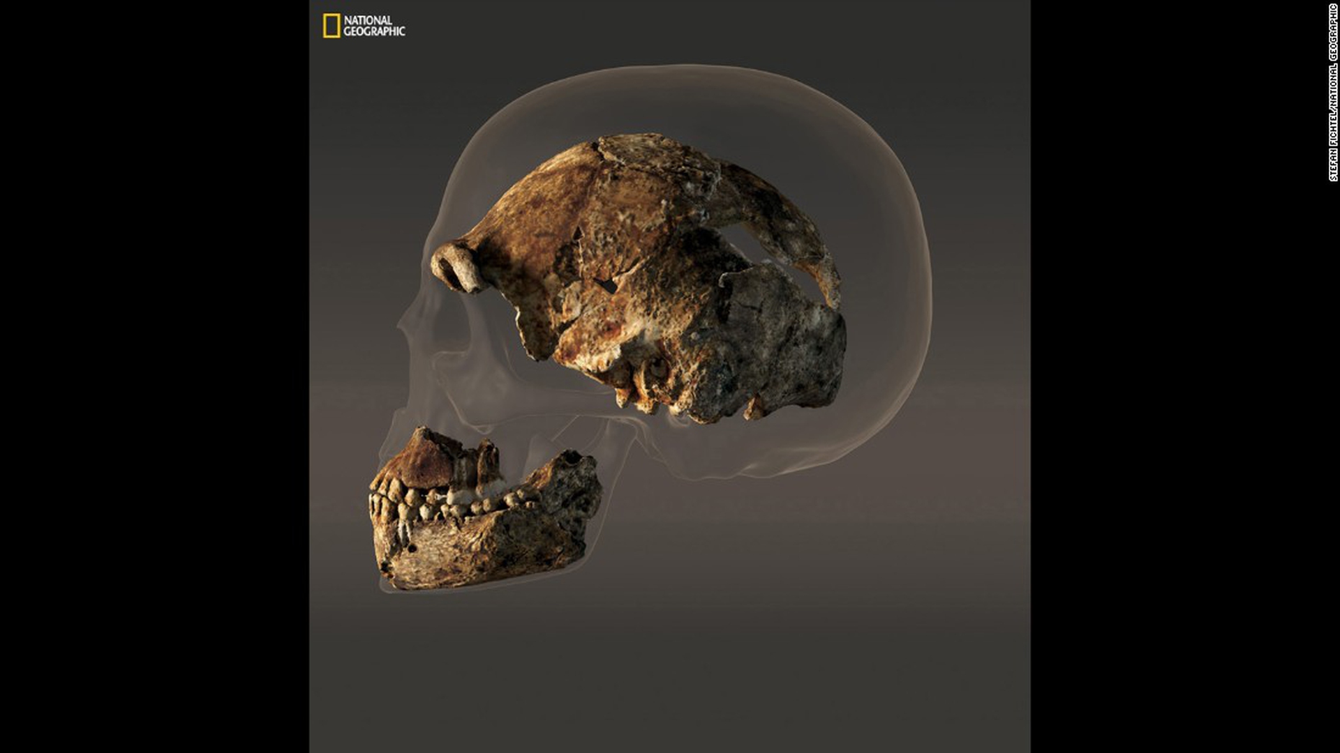 Homo naledi, il nuovo antenato dell'uomo. Damiano Marchi : “Questo riscrive la storia del nostro genere”