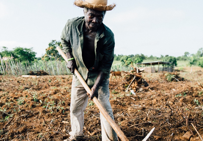 Cop27. L’appello dei piccoli produttori agricoli: senza fondi per adattarsi al clima, la sicurezza alimentare è a rischio