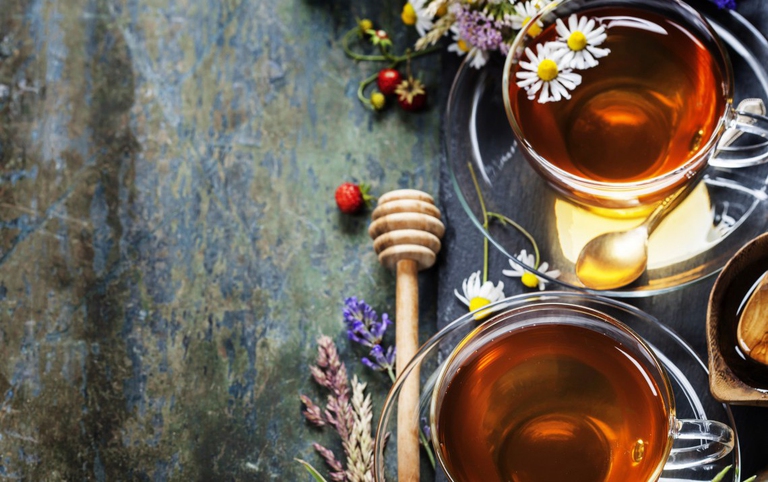 tisana malva bianca piante curative