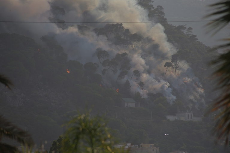 Foresta in fiamme in Sardegna