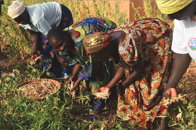 The 10,000 Gardens in Africa project
