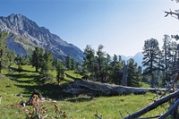 Parco Nazionale Svizzero, natura intatta da 100 anni
