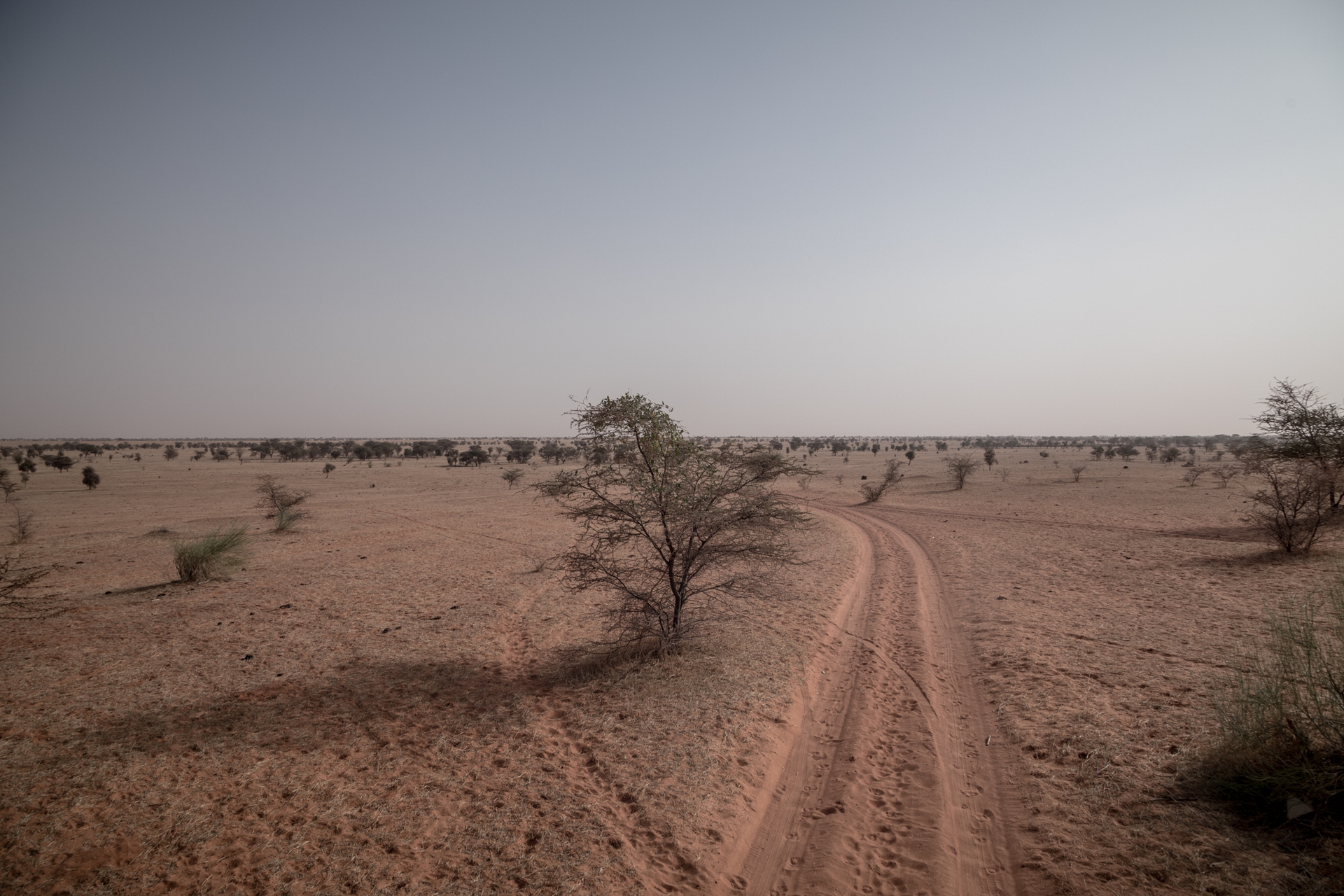 La storia di Issa Maou