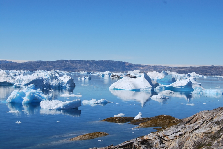 Franz Josef Land, Artico