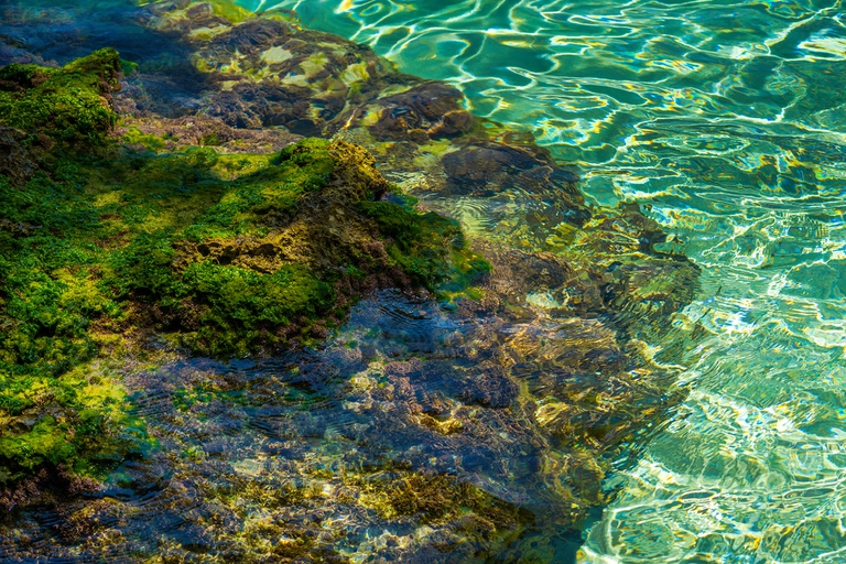 biodiversity in Veracruz