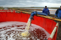 Incidente in Siberia, Greenpeace: impossibile garantire sicurezza in zone remote