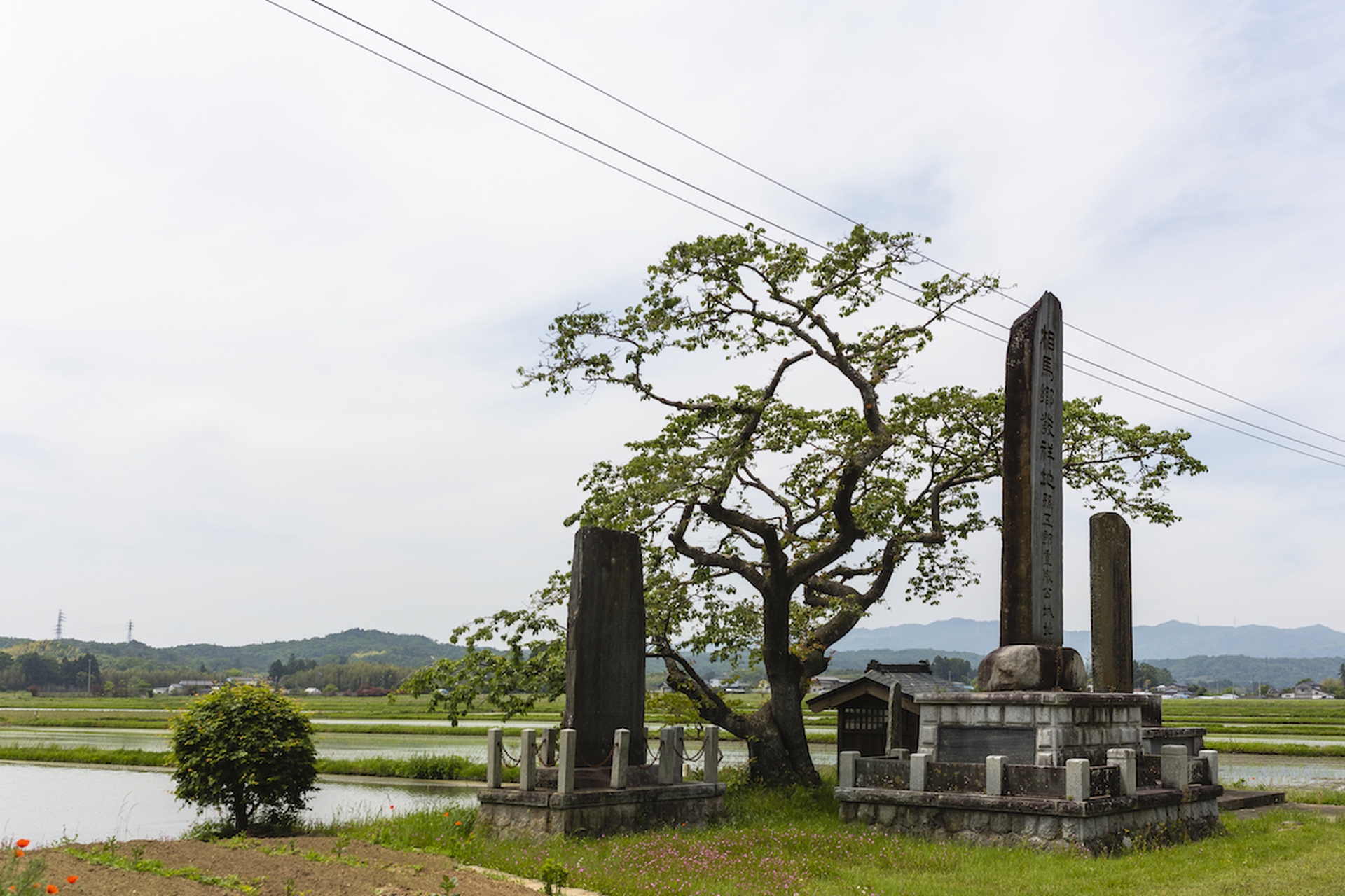 La gente di Fukushima. Un viaggio di rinnovamento a cinque anni dal disastro