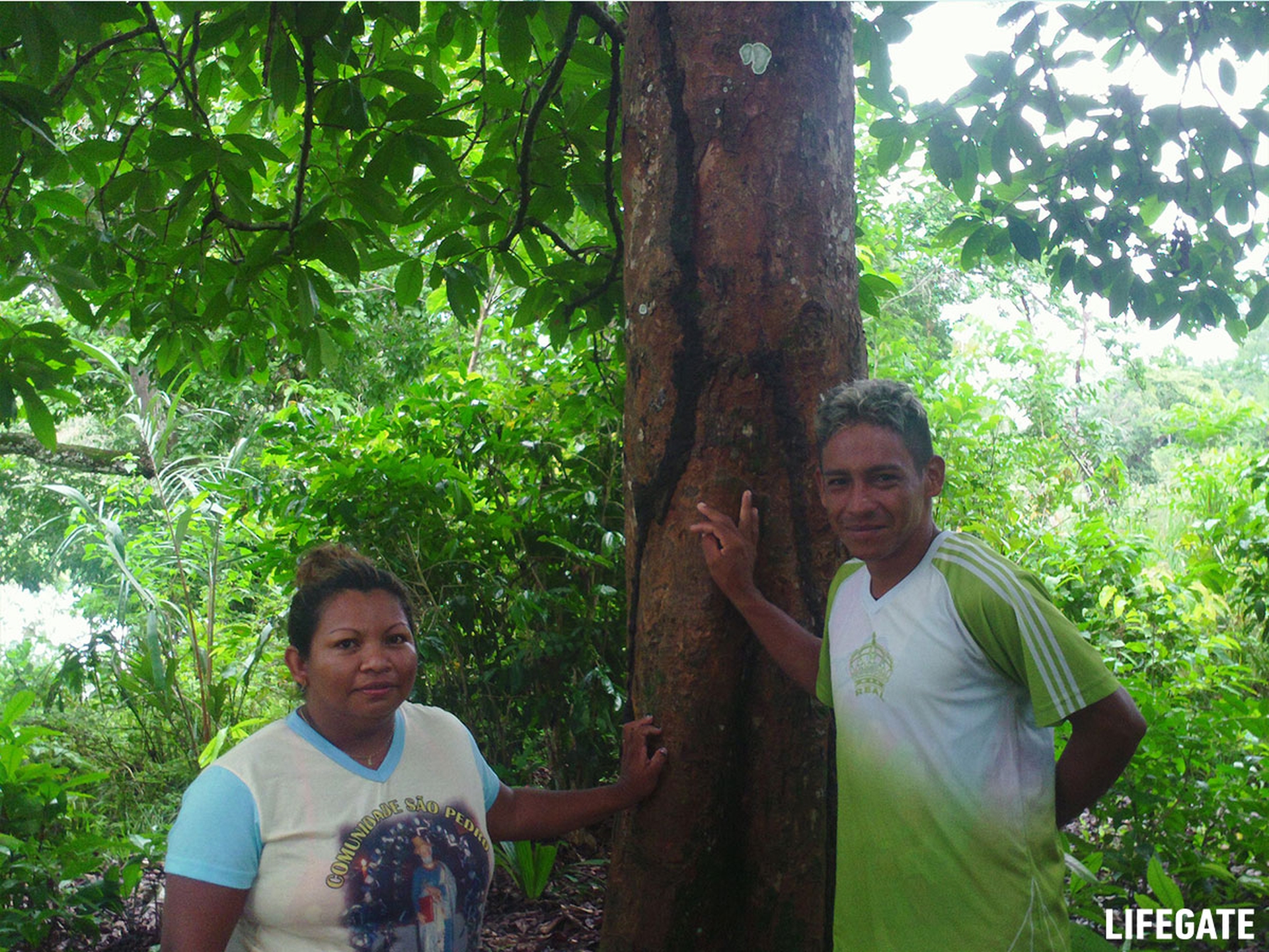 Foreste in piedi 2017