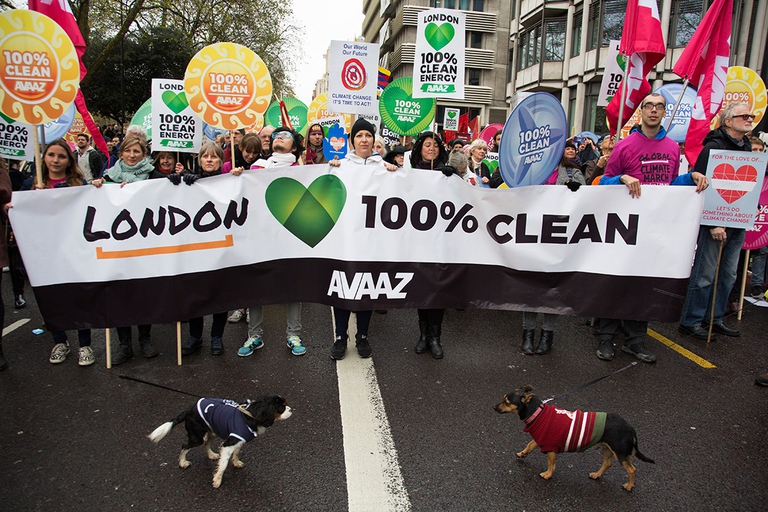 Avaaz demonstration for renewable energy