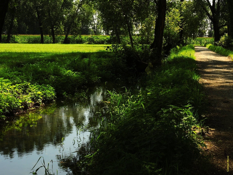 Parco agricolo del Ticinello