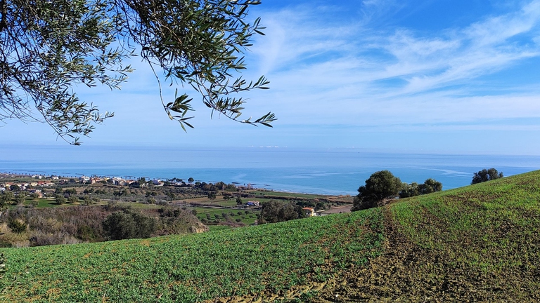 Elezioni spartiacque anche per il destino della Riserva del Borsacchio