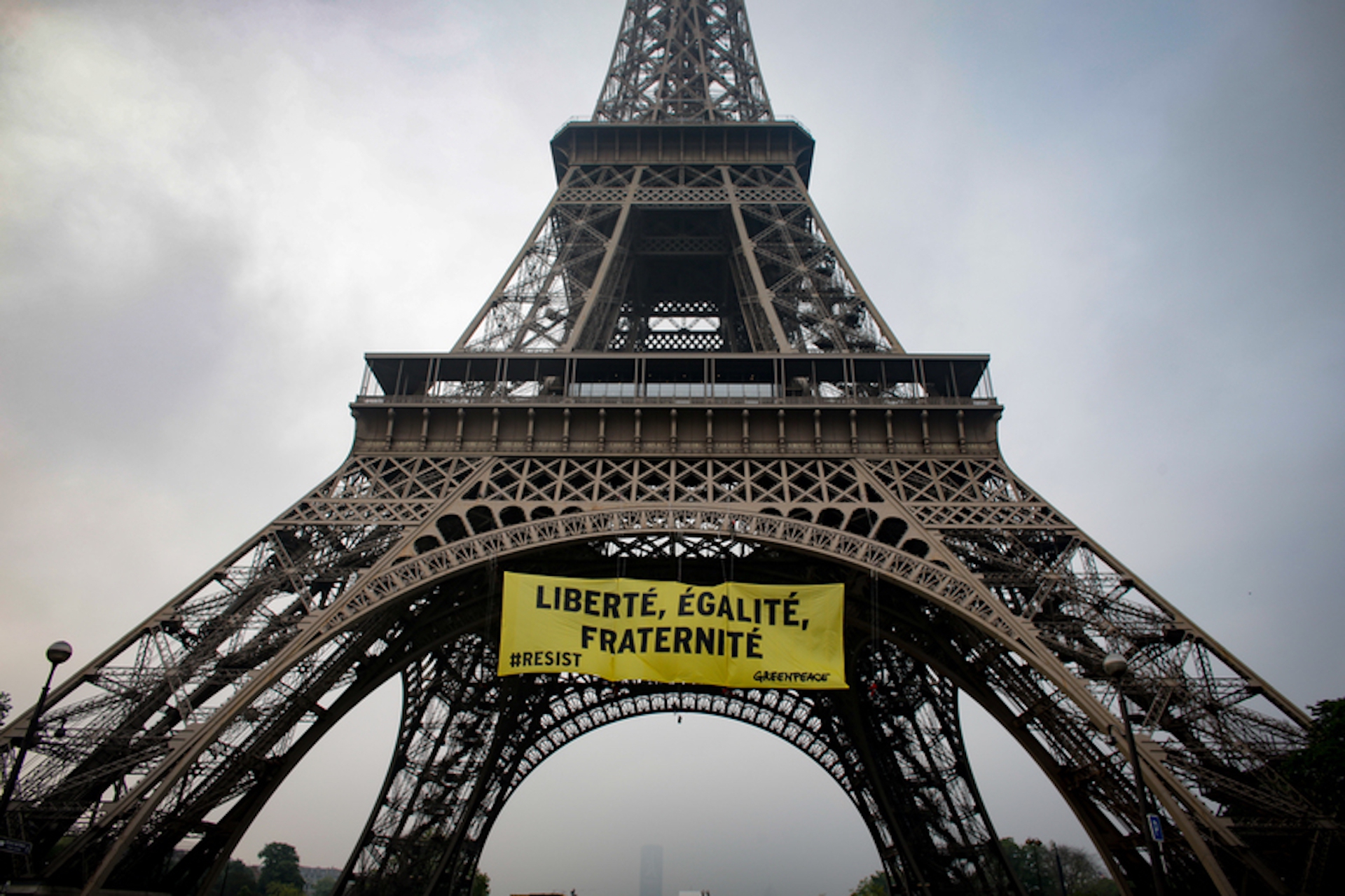 50° anniversario Greenpeace