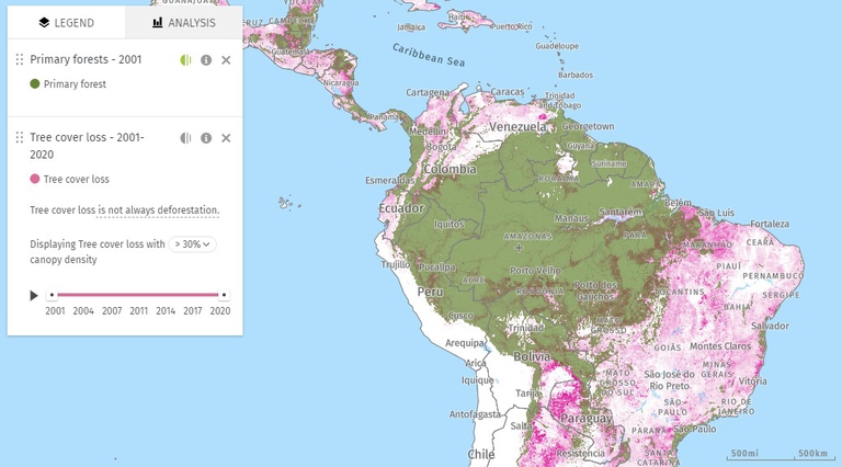 Deforestation In Brazil Has Exploded Under Bolsonaro But Its Roots Run Deep Lifegate