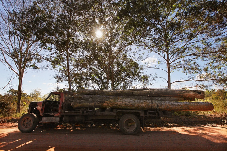 Un camion che trasporta tronchi tagliati illegalmente nella foresta pluviale amazzonica
