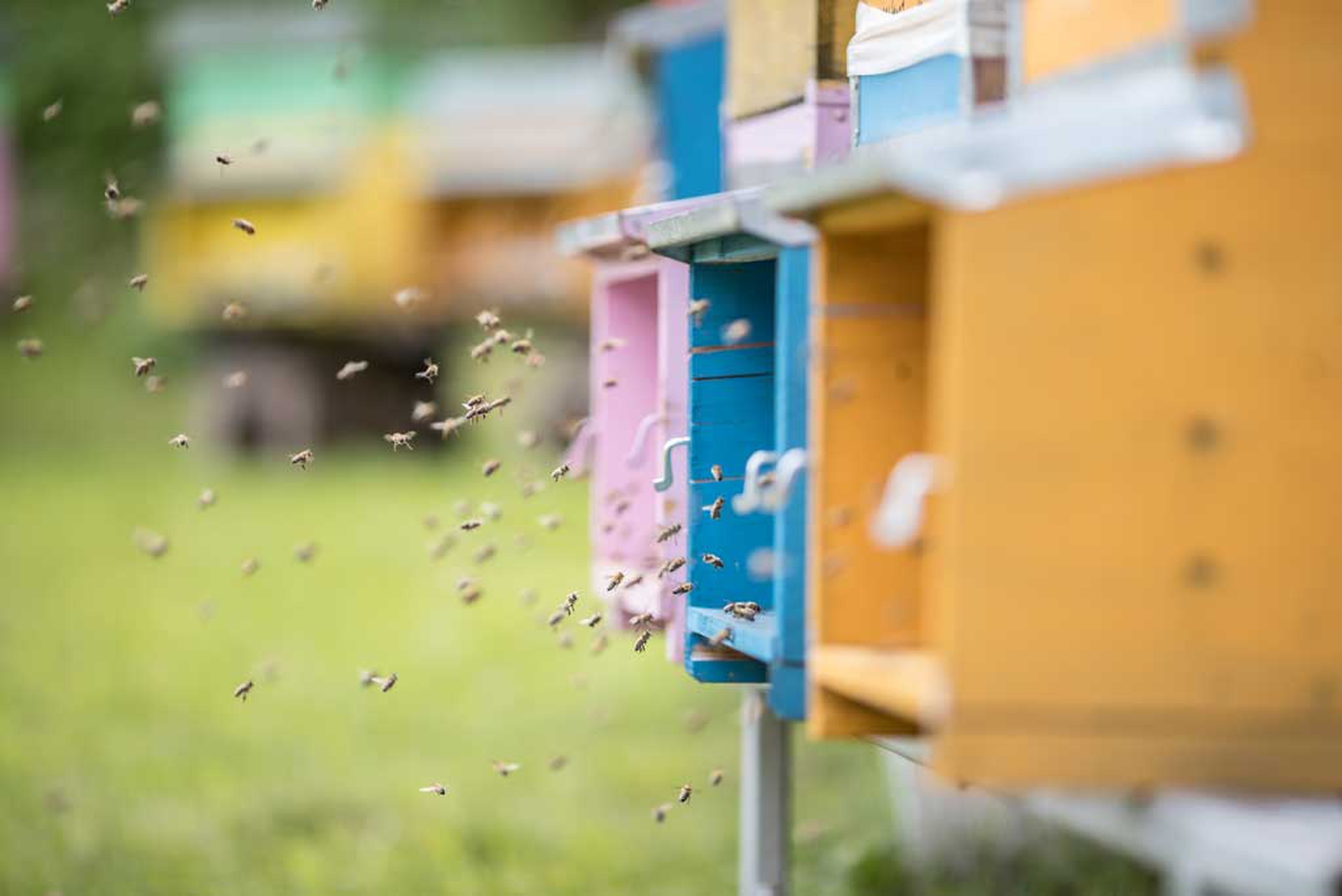 Bosch-153658-2430_ph