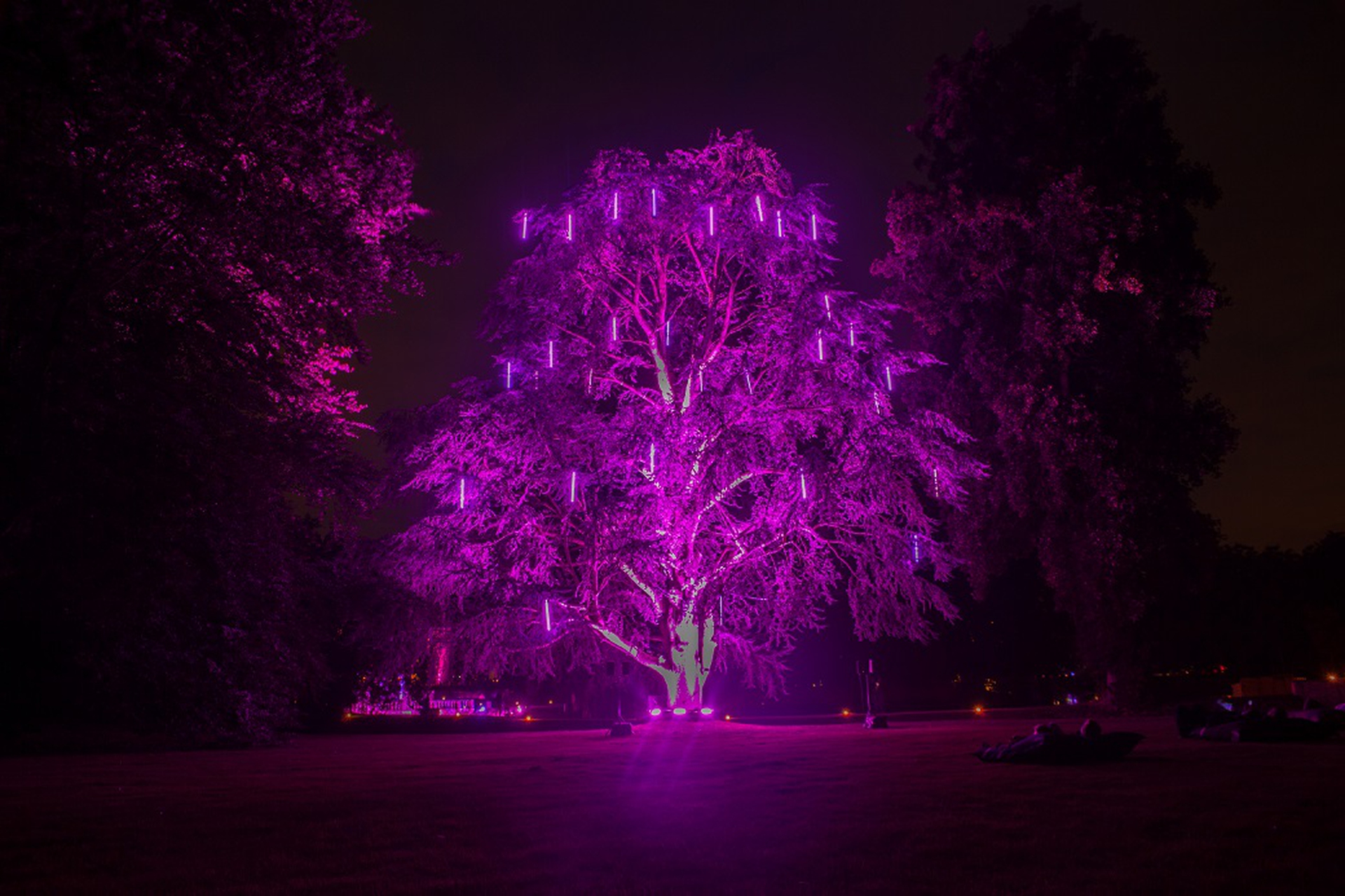 Cidneon, torna il festival delle luci a Brescia