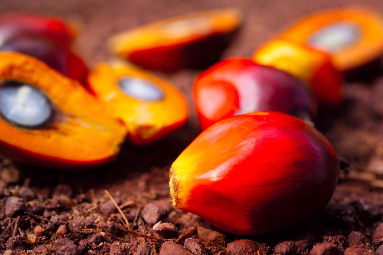 palm oil