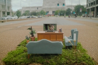 Giardinieri d’assalto, in un film le storie e l’evoluzione del guerrilla gardening italiano