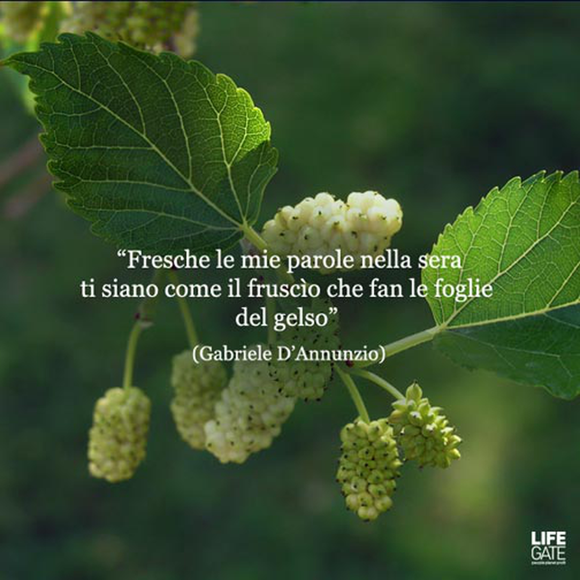 Le citazioni più belle per sempre - Gabriele D'Annunzio