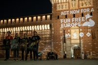 L’iniziativa per liberare l’Europa dalla crudeltà delle pellicce