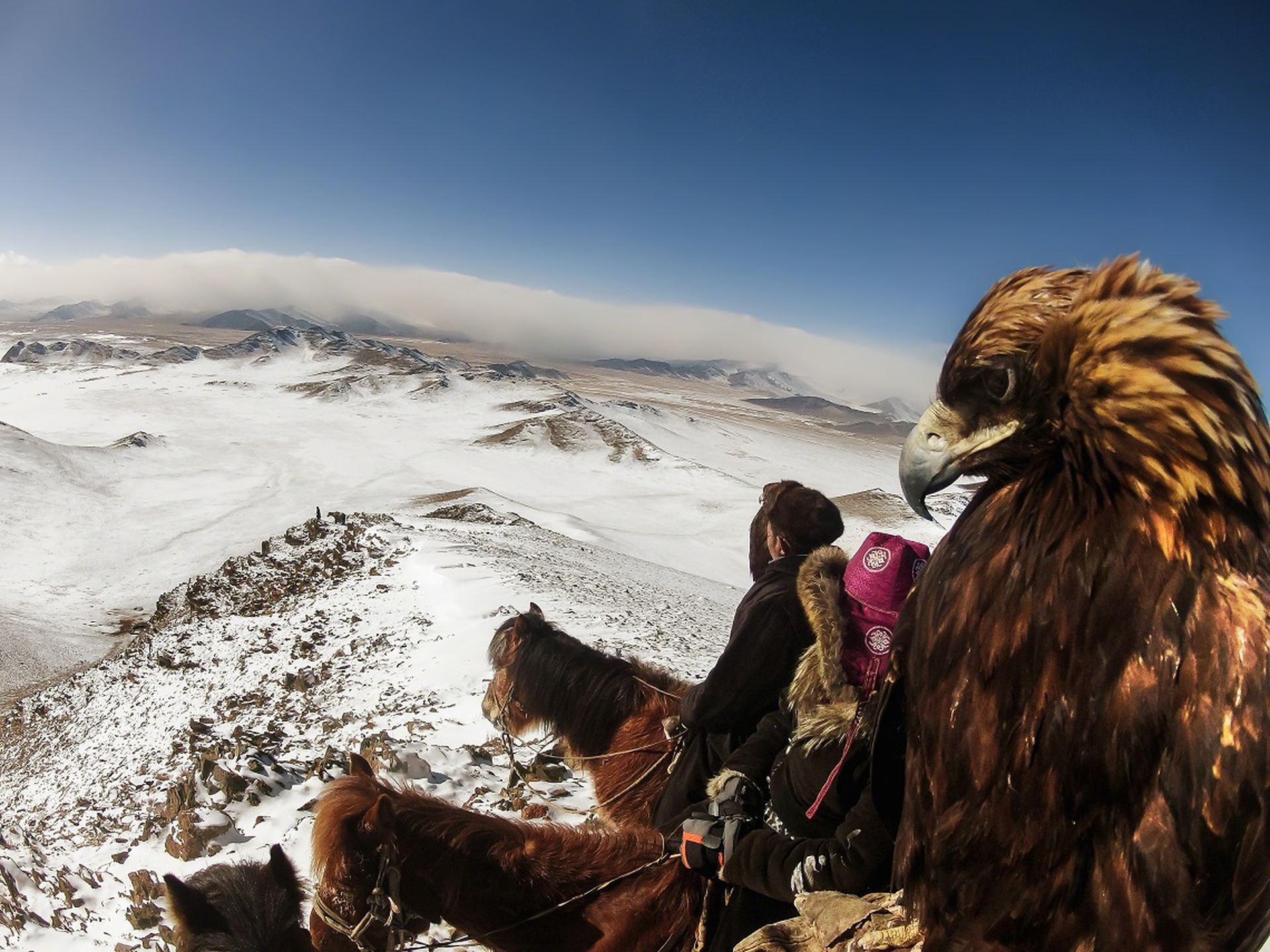 GoPro_Lauren_McGough_LMcGough_master