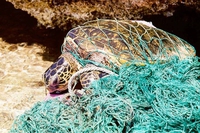 Perché plastica e microplastiche sono la minaccia dei nostri oceani