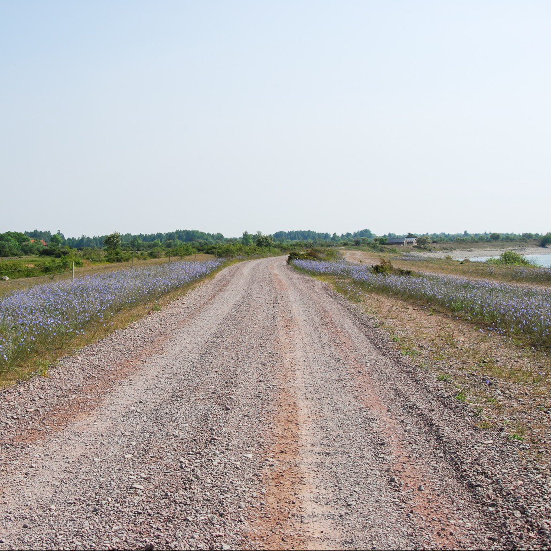 La sostenibilità del lino