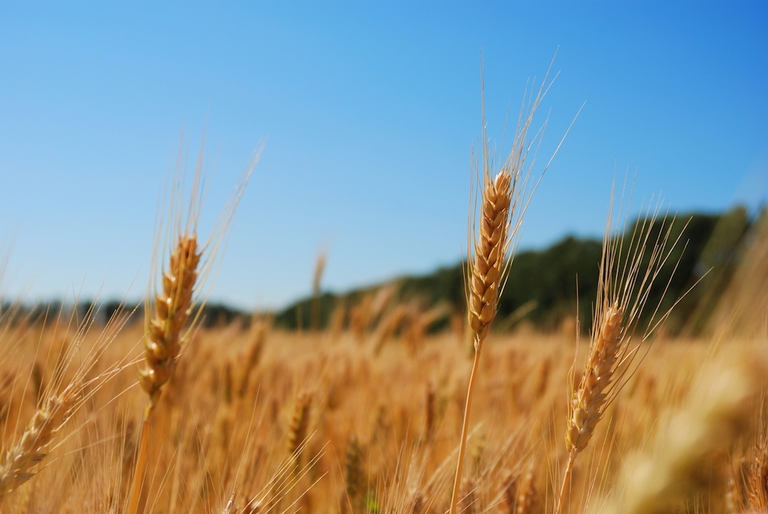 libera-vacanze-mafie