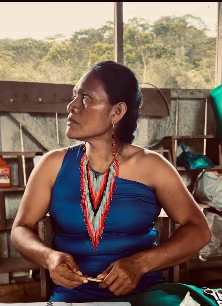 Il costo del rame in Ecuador è la lotta per la sopravvivenza del popolo amazzonico Shuar Arutam