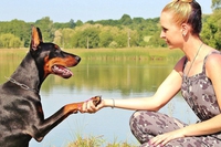 Gaia Lex mette a disposizione consulenze legali gratuite per difendere gli animali