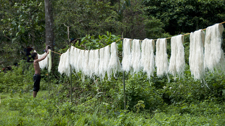 Fibre lasciate a essiccare