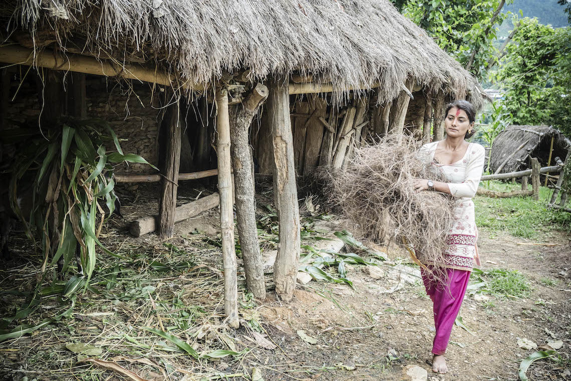 Il Nepal tenta di adattarsi ai cambiamenti climatici10