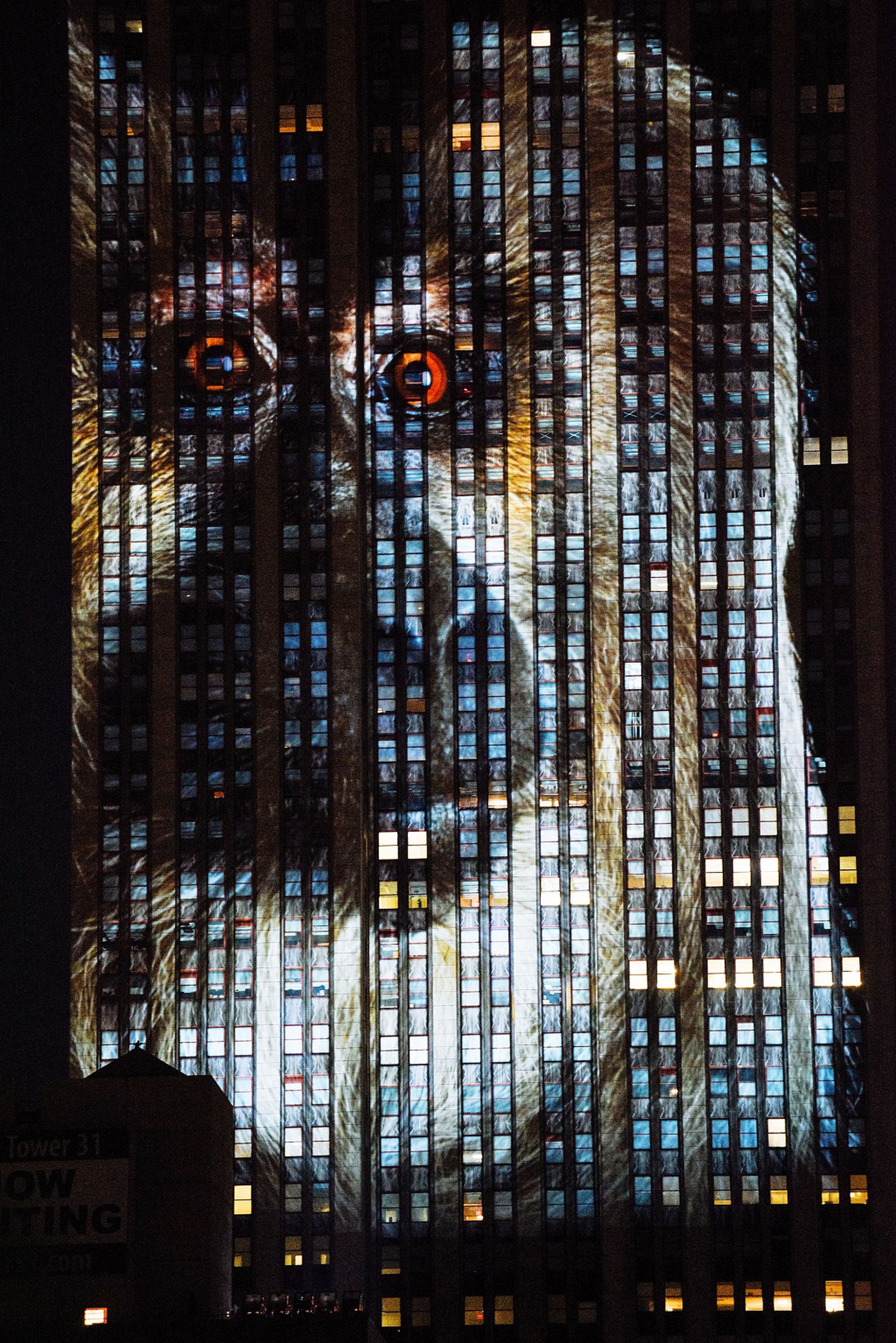 scimmia proiettata su Empire State Building